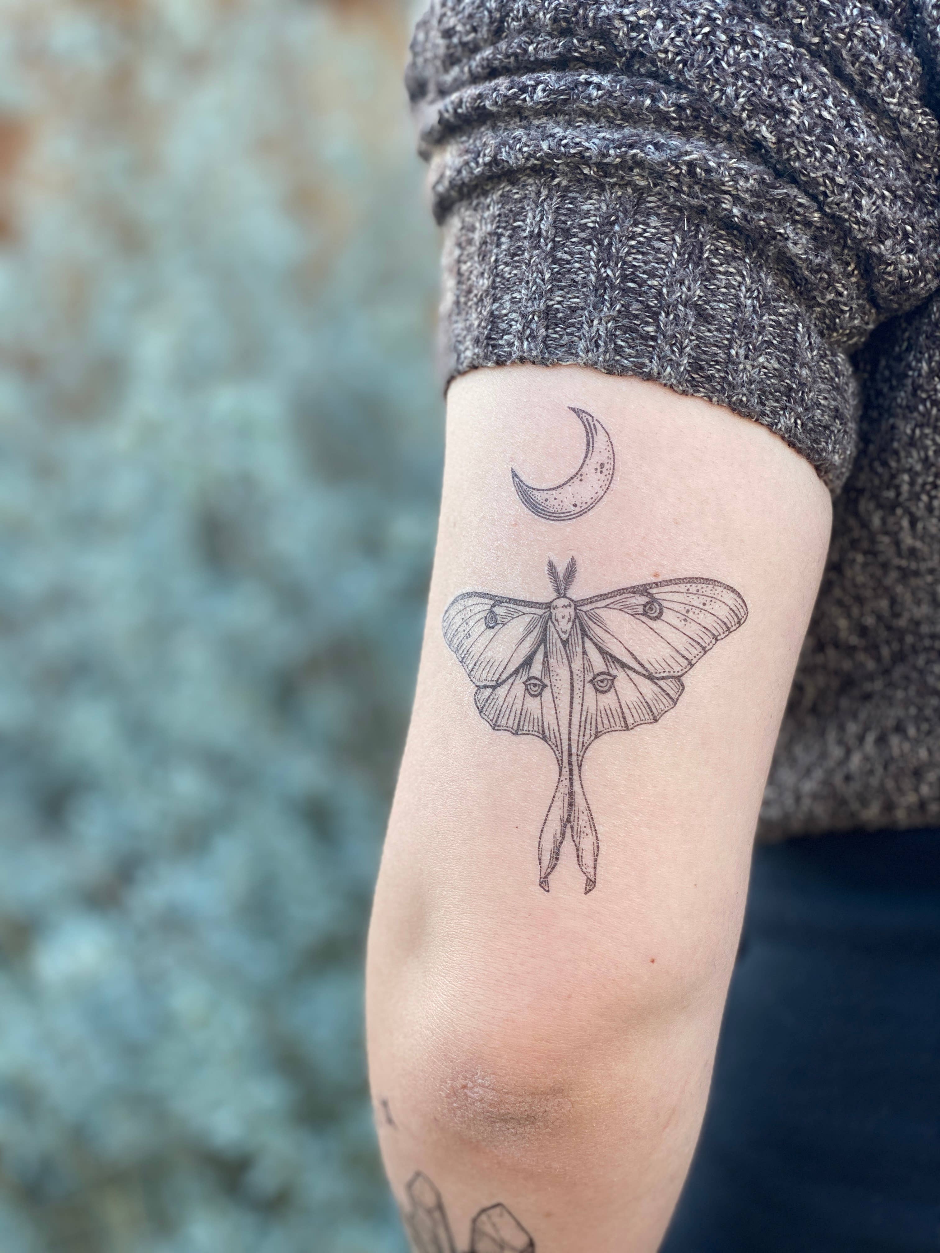 NatureTats - Luna Moth Temporary Tattoo: 1-Pack